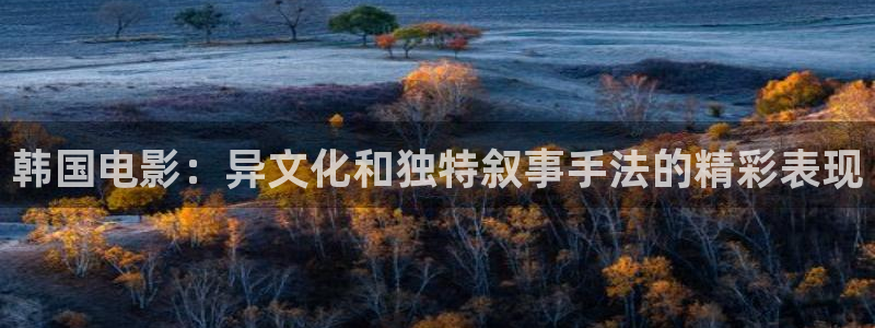 达达兔电视剧影视：韩国电影：异文化和独特叙事手法的精彩表现