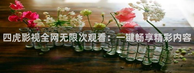 达达兔神马老子影院：四虎影视全网无限次观看：一键畅享精彩内容