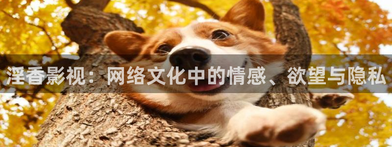 达达兔在线电影网：淫香影视：网络文化中的情感、欲望与隐私