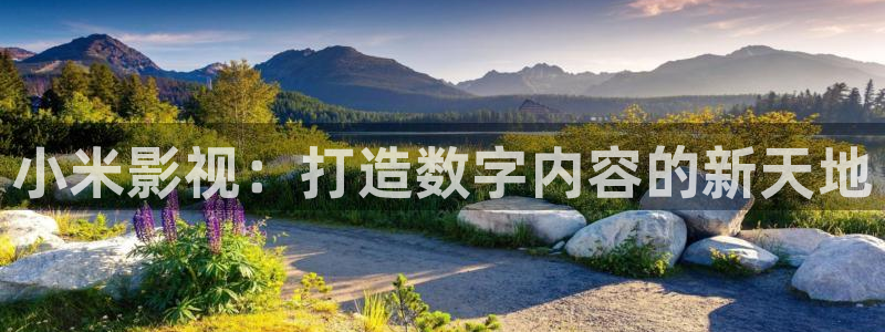 达达兔光棍影院：小米影视：打造数字内容的新天地