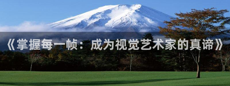 神马电影达达兔电影：《掌握每一帧：成为视觉艺术家的真谛》